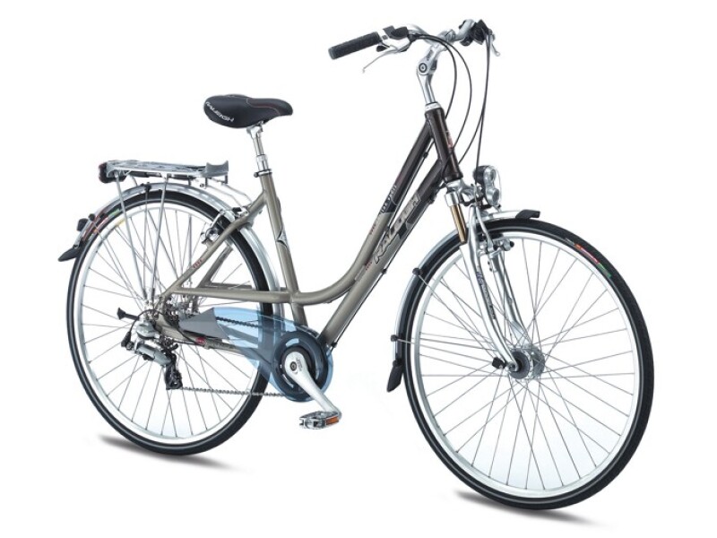 Raleigh Carlton Sport