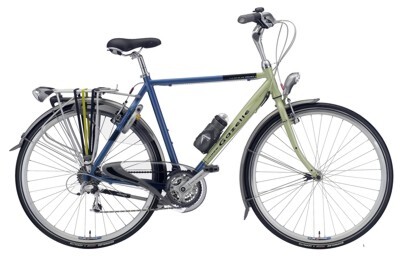 Gazelle Medeo