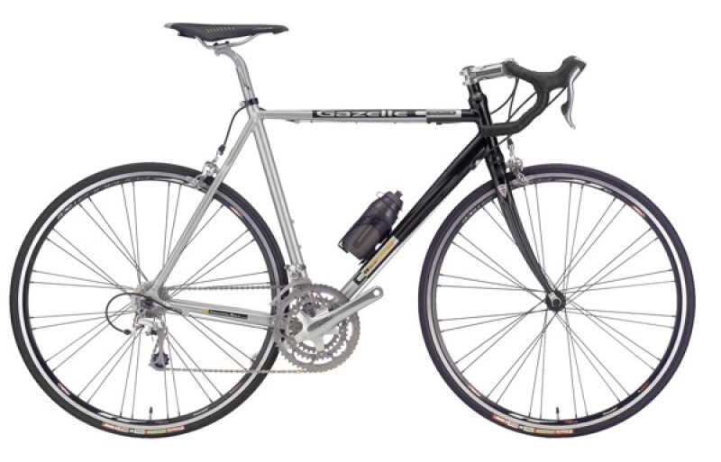 Gazelle Dauphinè