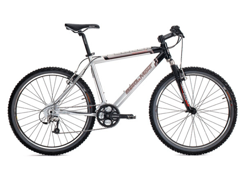 Bergamont Ace Race