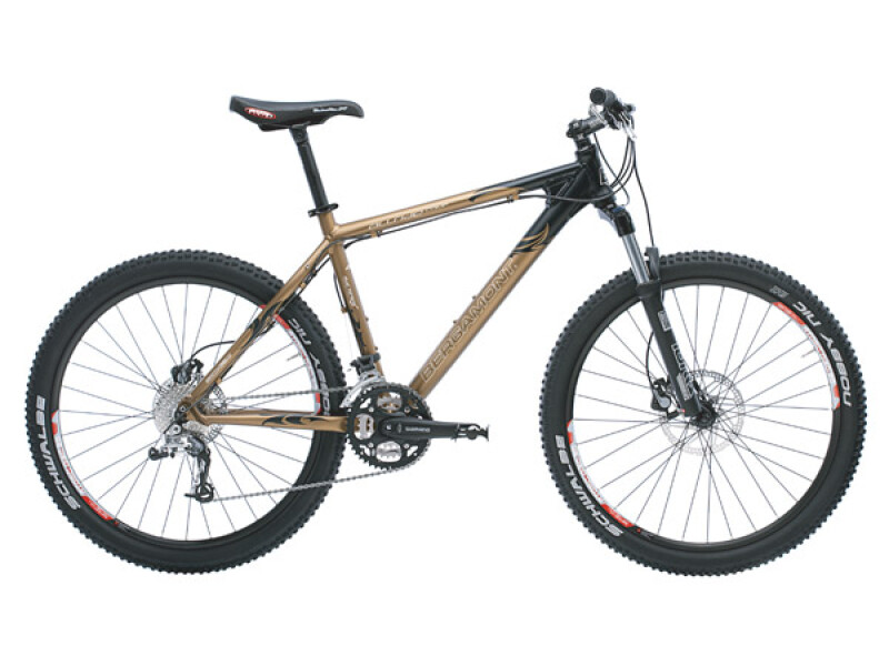 Bergamont Allride Comp