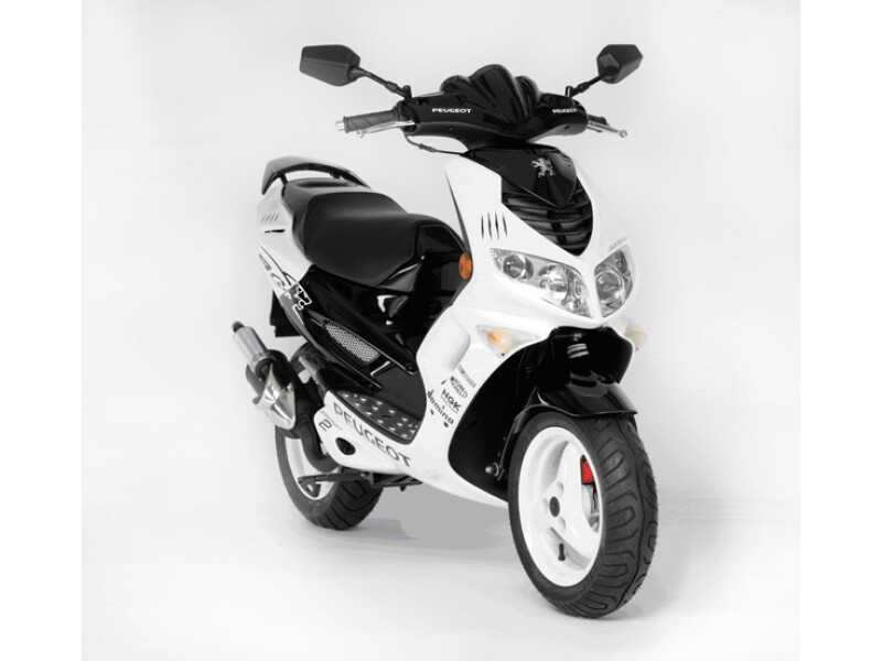 Peugeot Motocycles Speeedfight R-Cup
