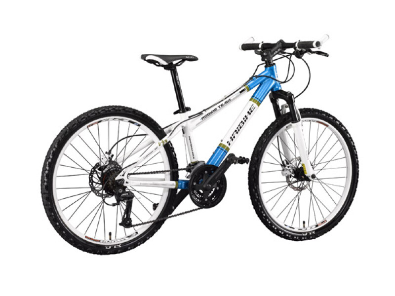 Haibike Hai Rookie Team 24