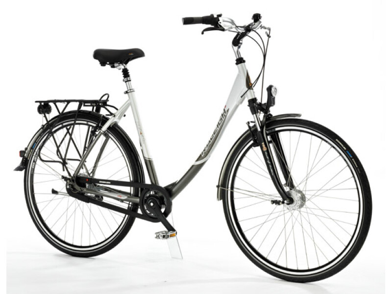 Raleigh Bristrol