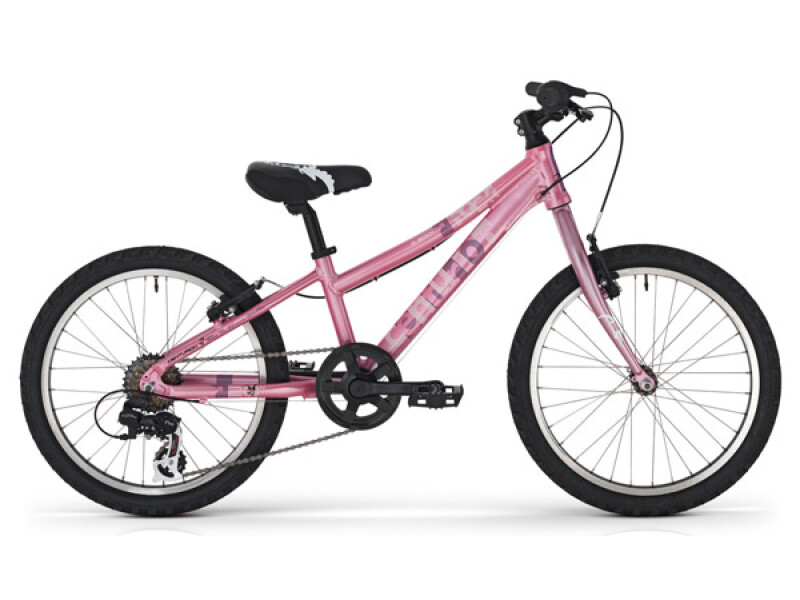 Centurion R' Bock 20 rose