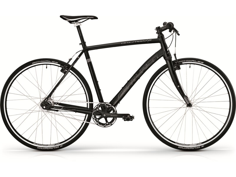 Centurion City Speed 8 / Lady