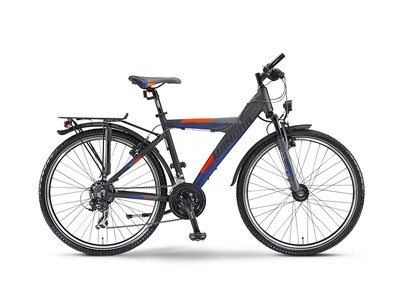 Winora Power Pro Y