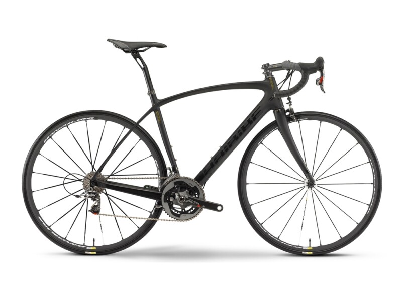 Haibike Affair RX