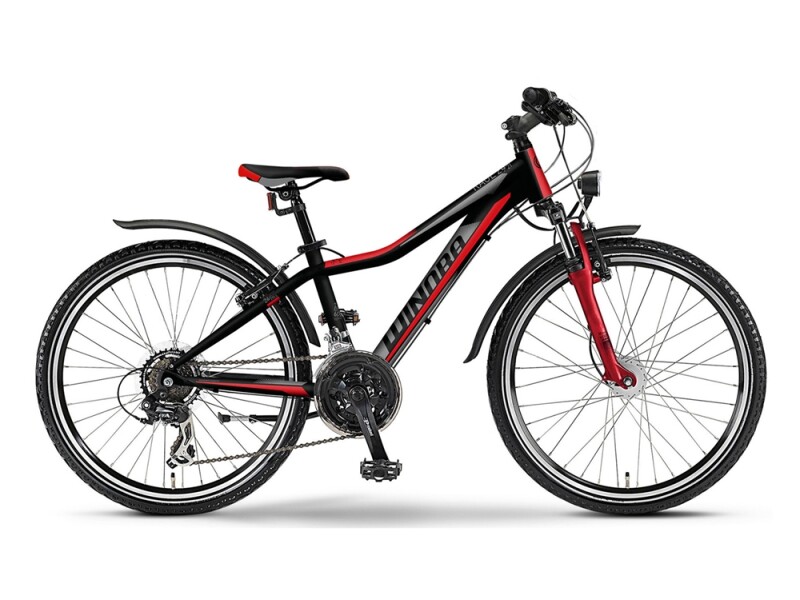 Winora rage 24