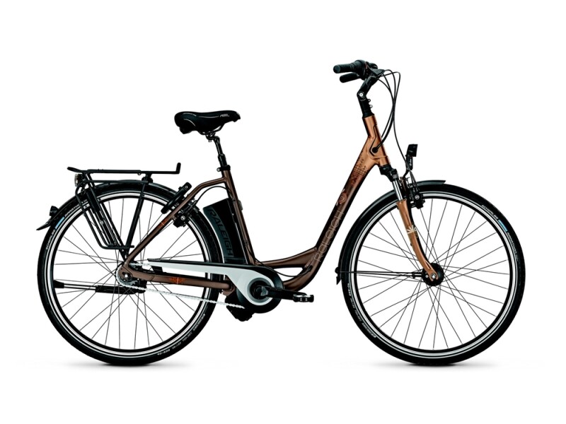 Raleigh Dover Impulse 8 HS/8R HS/Wa/Bronzematt/14,5 Ah