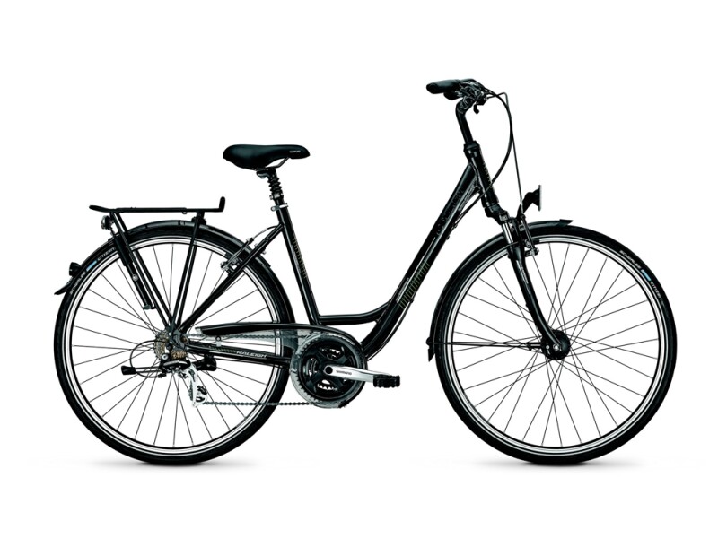 Raleigh Executive 21/Wa