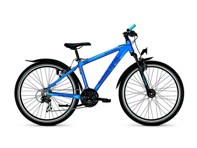 Raleigh Dirtmax