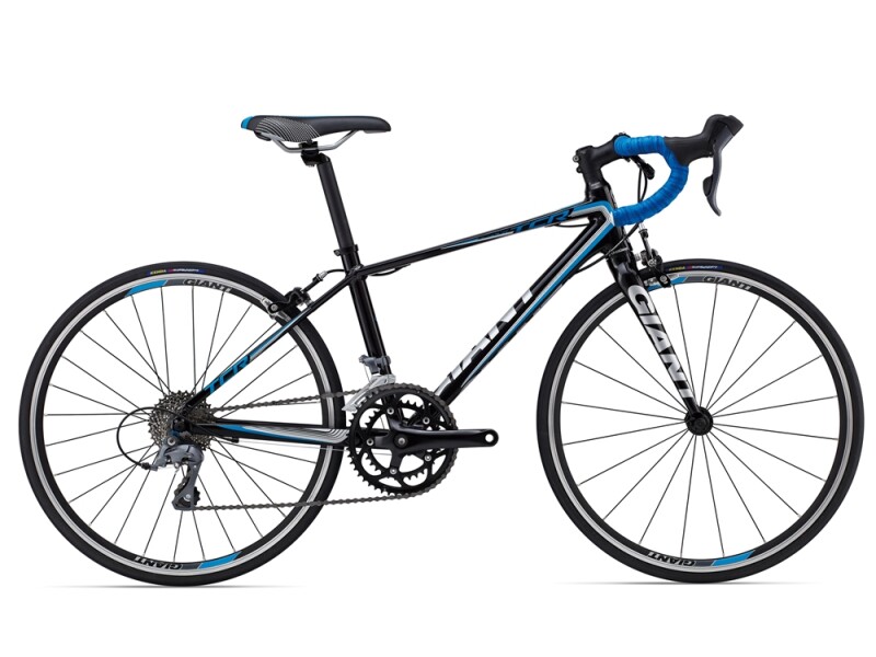 GIANT TCR Espoir