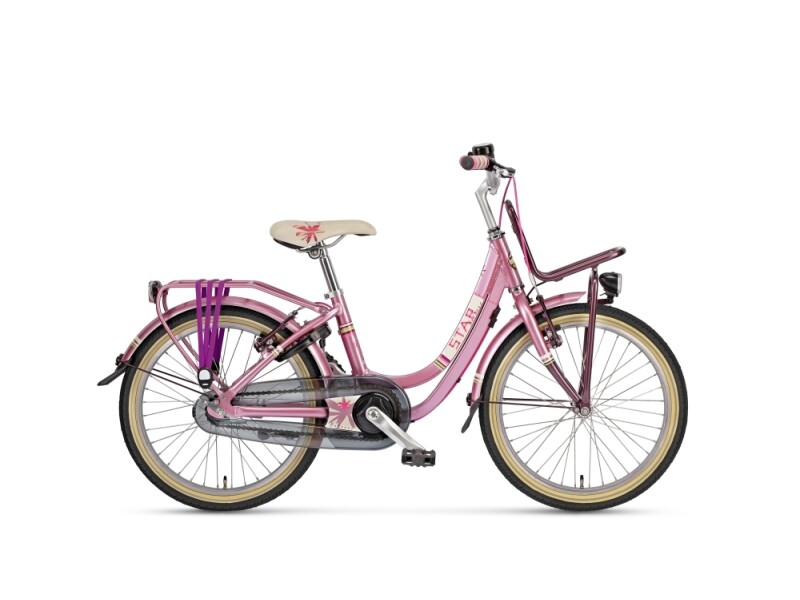 Batavus Star 20