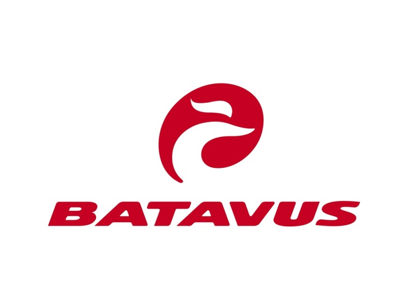 Batavus Zonar Comfort
