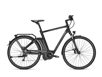 Raleigh Ashford