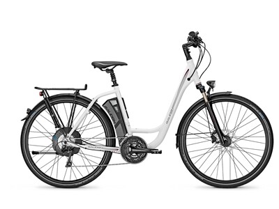 Raleigh Stoker X5