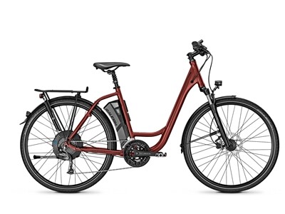 Raleigh Stoker X1