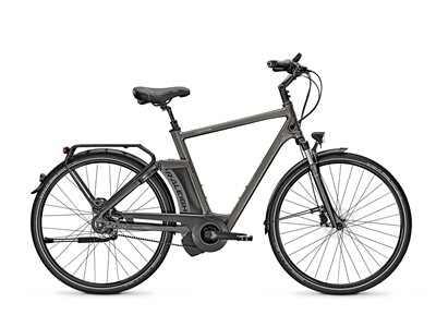 Raleigh Newgate Premium /R Premium