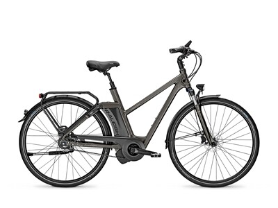 Raleigh Newgate Premium /R Premium