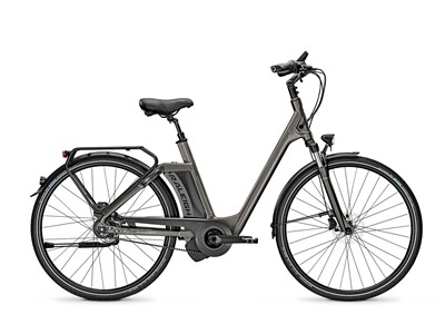 Raleigh Newgate Premium /R Premium