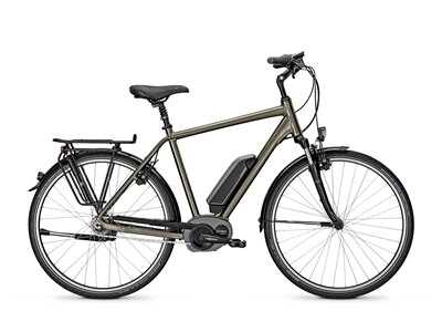 Raleigh CARDIFF B8 / B8R