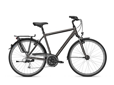 Raleigh OAKLAND DLX