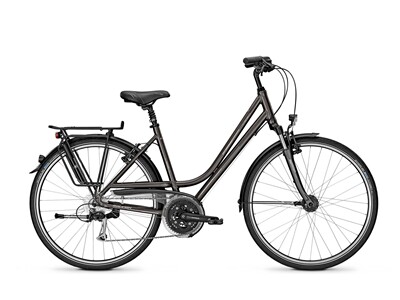 Raleigh OAKLAND DLX