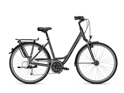 Raleigh OAKLAND DLX