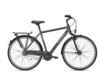 Raleigh UNICO DLX