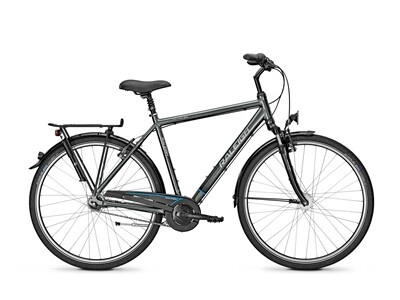 Raleigh UNICO PLUS
