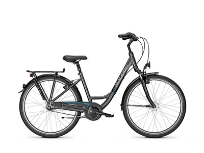 Raleigh UNICO PLUS