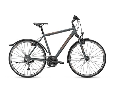 Raleigh STREETMAX 2.0