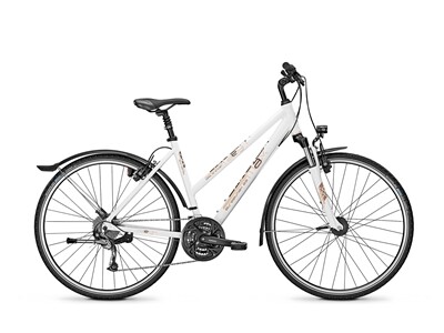 Raleigh STREETMAX 2.0