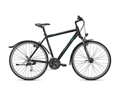 Raleigh STREETMAX 1.0