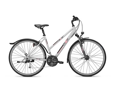 Raleigh STREETMAX 1.0
