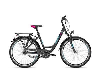Raleigh SCHOOLMAX