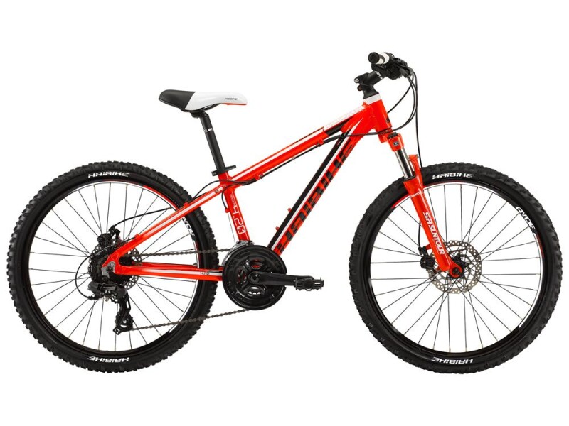 Haibike Rookie 4.20