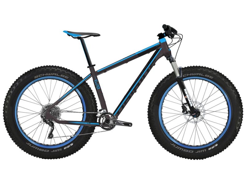 Haibike Fatcurve 6.20