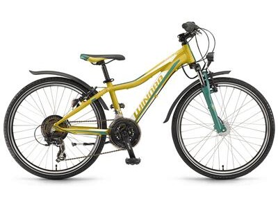 Winora Rage 24