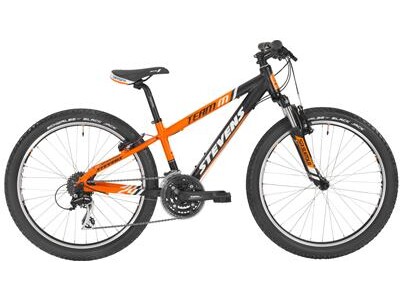 Stevens Team M 24”