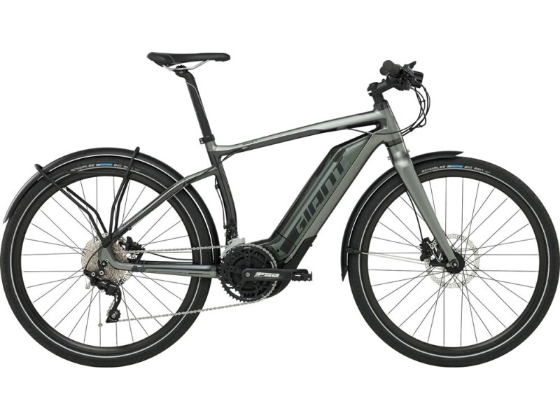 GIANT Quick E+ 25 LTD