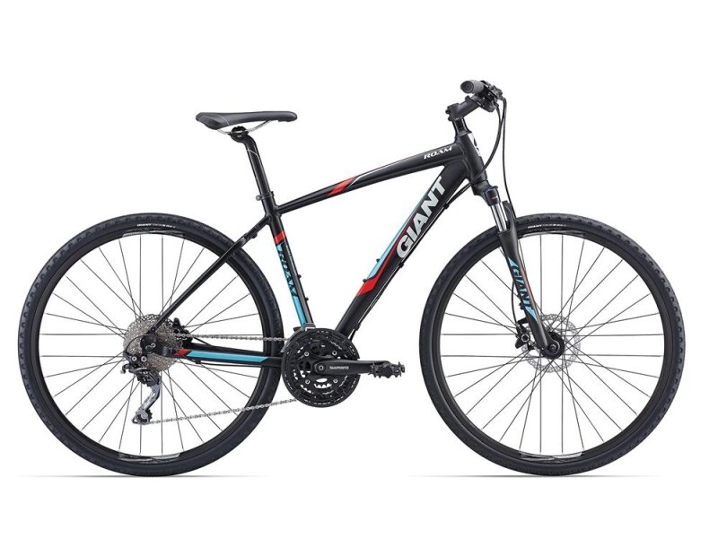 GIANT Roam 1 LTD