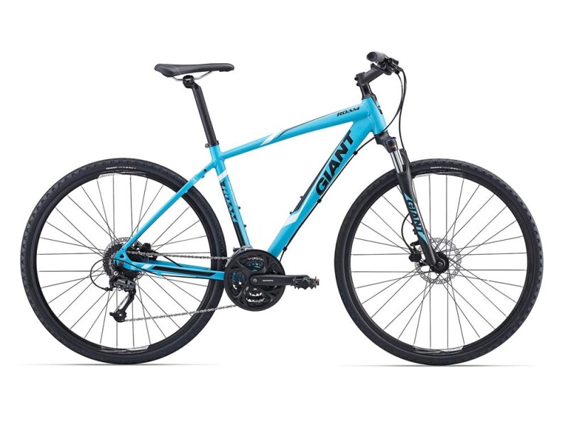 GIANT Roam 2 LTD