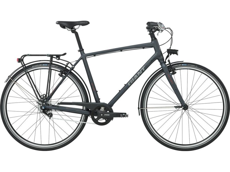 GIANT FastCity CS 2