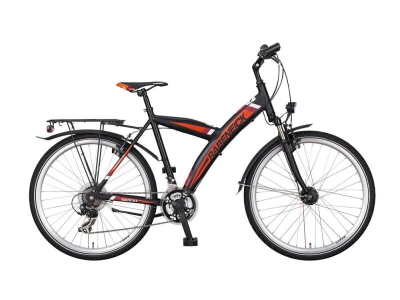 Rabeneick Bad Cat 26