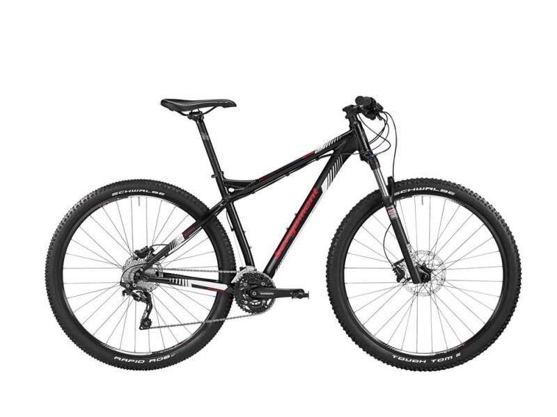 Bergamont Revox 6.0