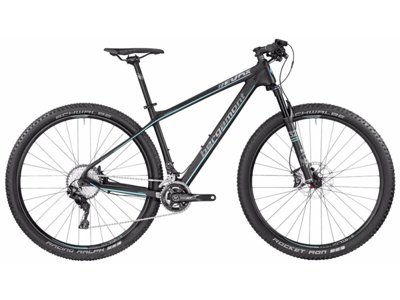 Bergamont BGM Bike Revox 10.0