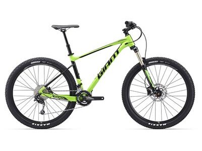 GIANT 29