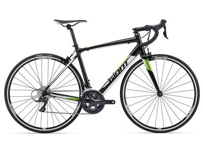 GIANT CONTEND 1